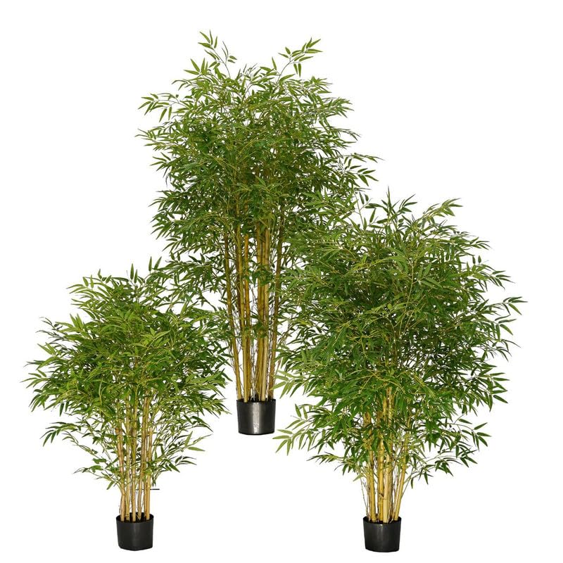 Mini Ornamental Bamboo Grass Live Plant – Small Pot Home Decor Plant, 4–6 Inch (1 Live Healthy Plant)-image-48