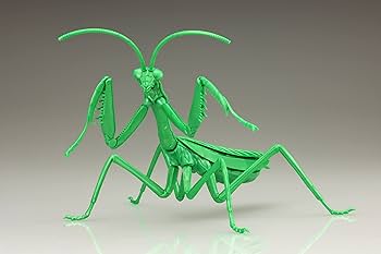 昆虫標本 カメレオンバッタ オオムラサキ オオカマキリ 希少昆虫標本 カメレオンバッタ オオムラサキ オオカマキリ現状