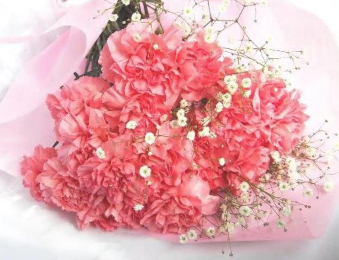 【保留中】カーネーションの造花　花束　200本　一箱① 楽天市場】カーネーション 100本（花・観葉植物｜花・ガーデン・DIY