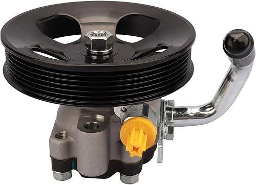 DRIVESTAR Bomba de dirección asistida 21-667, compatible con Hyundai Santa Fe, 2001, 2002, 2003, 2004, 2005, 2006, 2001, 2002, 2003, 2004, 2005,