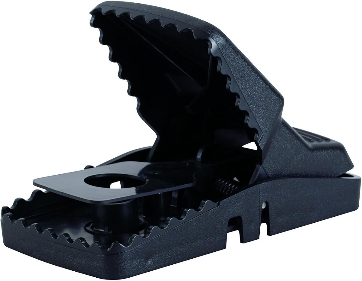 Rat Snap Trap, 2-Pack