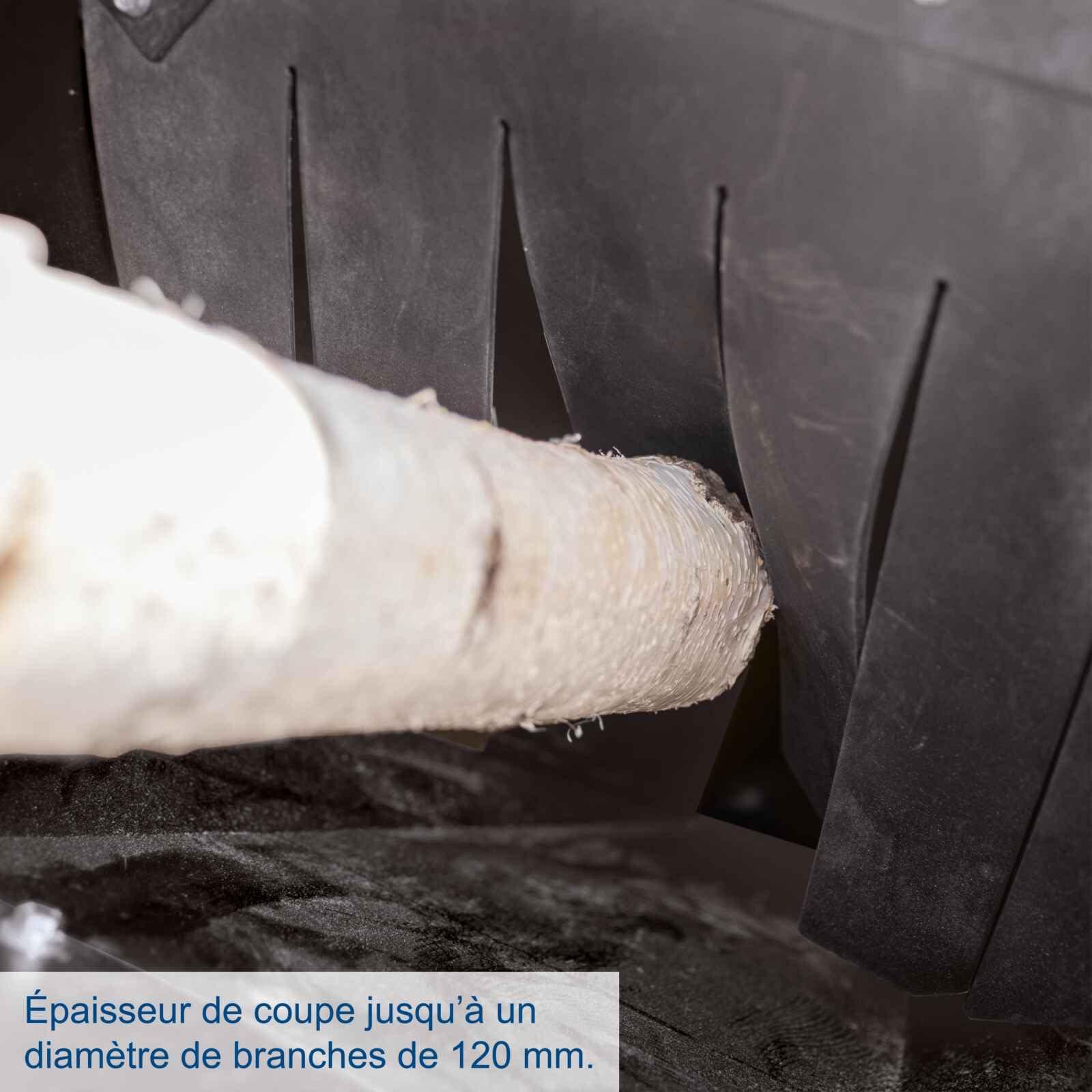 Scheppach Broyeur à végétaux thermique PGS420 - 420 cm³