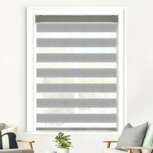 SHECUTE Persianas enrollables Zebra para ventanas, 25 x 72 pulgadas, cortinas enrollables de cebra beige arena, filtran la luz, 50% opacas, para