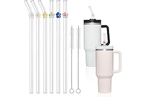 Stanley Glass Straw 40 oz 30 oz Tumbler Replacement 6 Pack