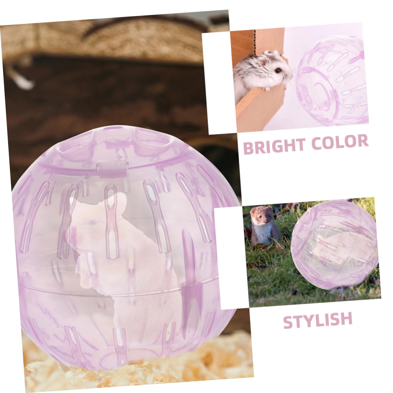 Levemolo 3pcs Large Hamster Exercise Ball Dwarf Hamster Plaything Abs Material Balls for Toys