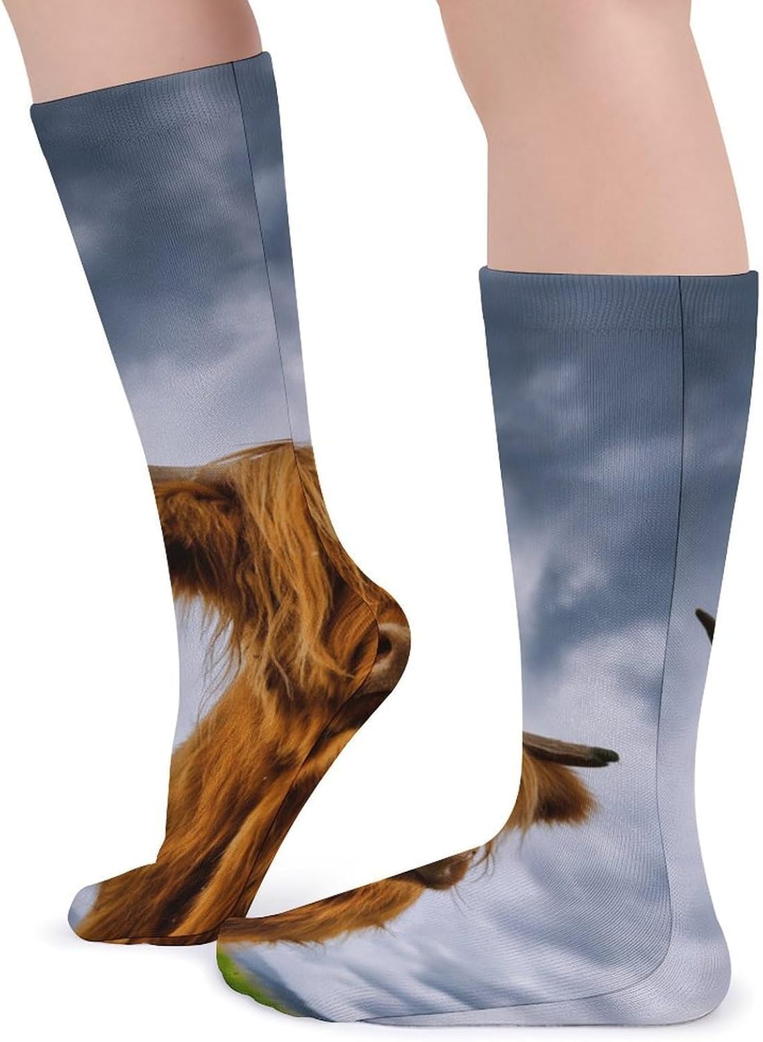 Highland Cow in The Scottish Highlands Knee High Socks Casual Long Stockings Over Calf Sock Tube for Women Men