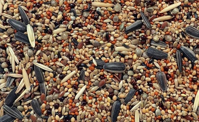 RS Birds & Grains Pet Love's Mix Seed Bird Food | Seed Food for Birds of All Life Stages / 950gm,Pack of 1