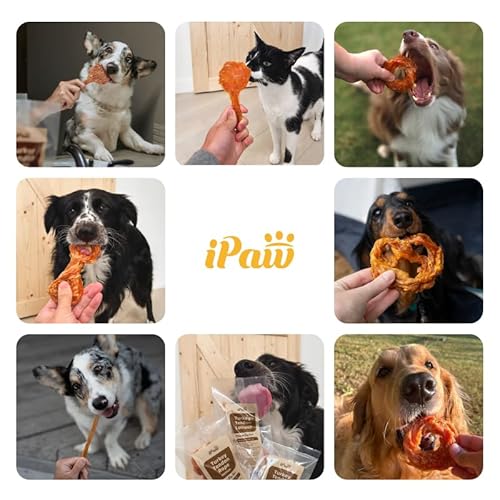 Ipaw Turkey Tendon For Dogs thumb #5