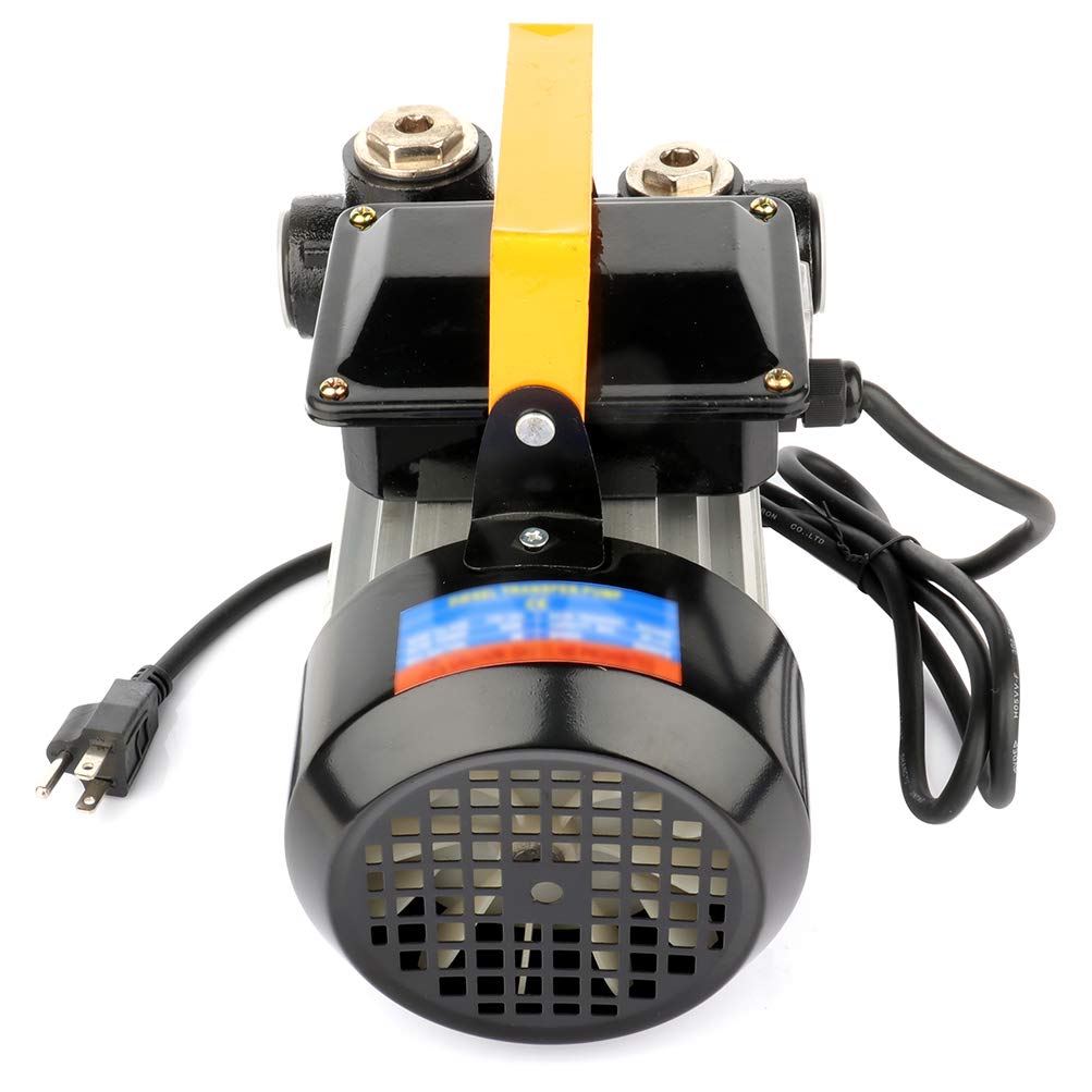 GCCSJ Electric Fuel Pumps, 110V 550W,Portable Self-Priming Diesel Transfer Pump, Diesel Standard Electric Fluid Oil Diesel Pump 20-60L/Min Oil Change Extractor Pump Kit