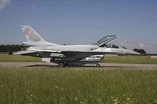 Posterazzi A Polish Air Force F-16C Block 52 aircraft with conformal fuel tanks and sniper targeting pod Lechfeld Airfield Germany Poster Print, (17 x 11)
