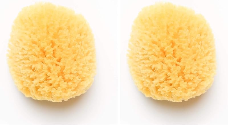 Esponja de banho natural do mar KYTE BABY, 10,16 a 12,7 cm, pacote com 2