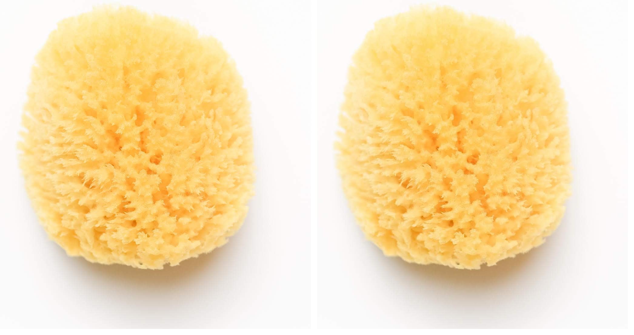 Kyte Baby Natural Sea Sponge, 4 to 5 Inches