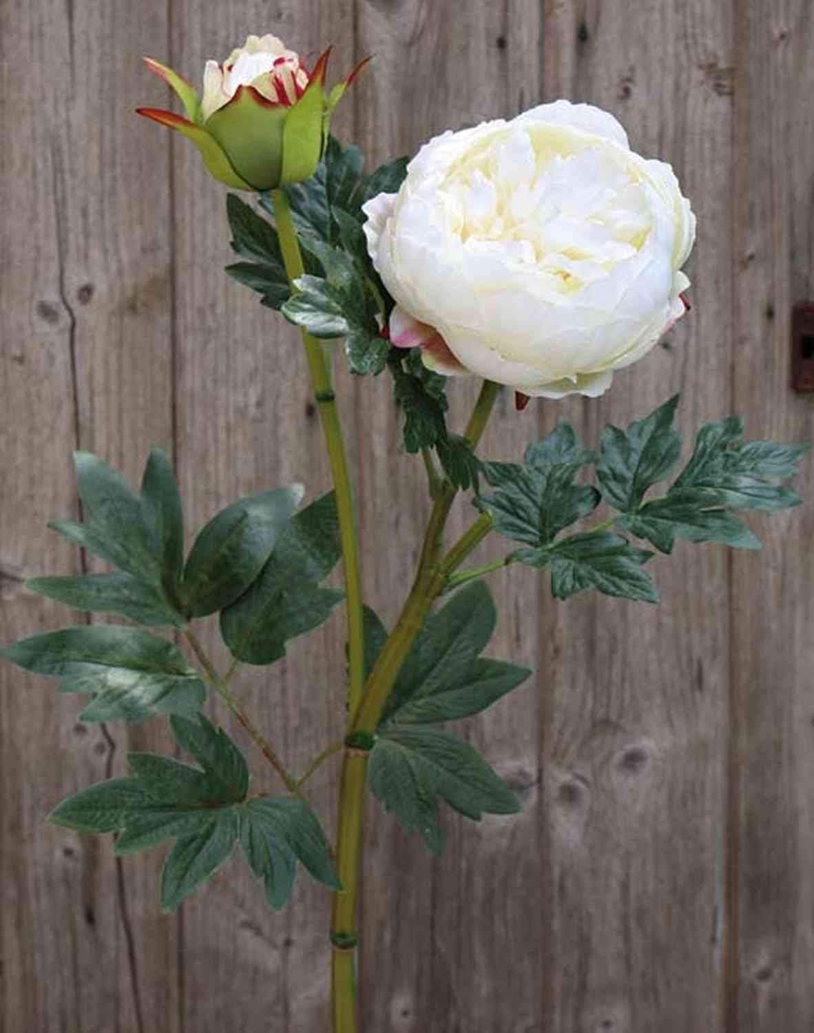 artplants.de Artificial peony ERNESTINE, creamwhite, 80cm Decorative peony Plastic flower