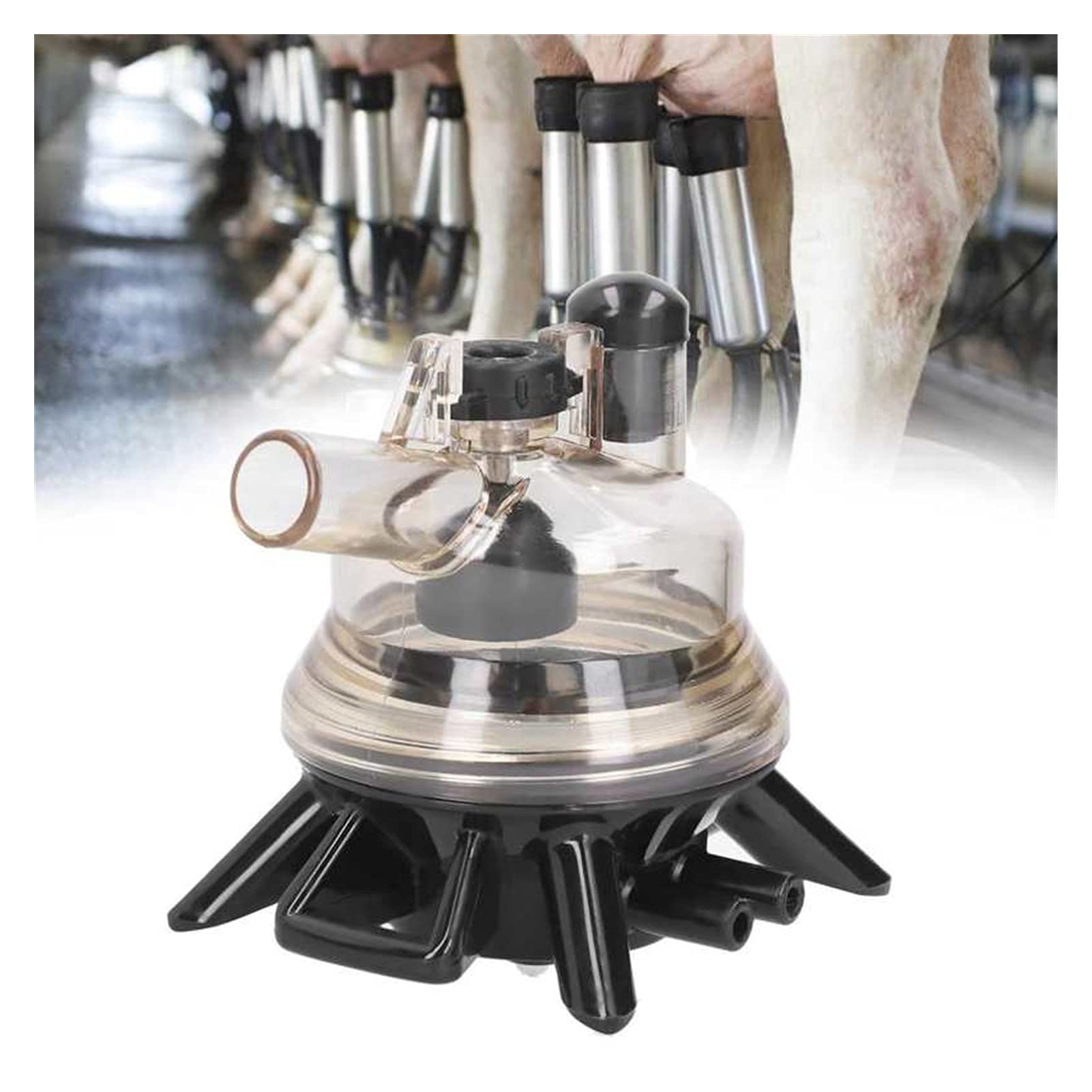 150ml Mungitura di Mucca Artiglio del Latte Collector di Latte Parte di Ricambio per Le Pecore Mucca Macchina Macchina Prodotti per la Fattoria Azienda agricola Forniture per Animali