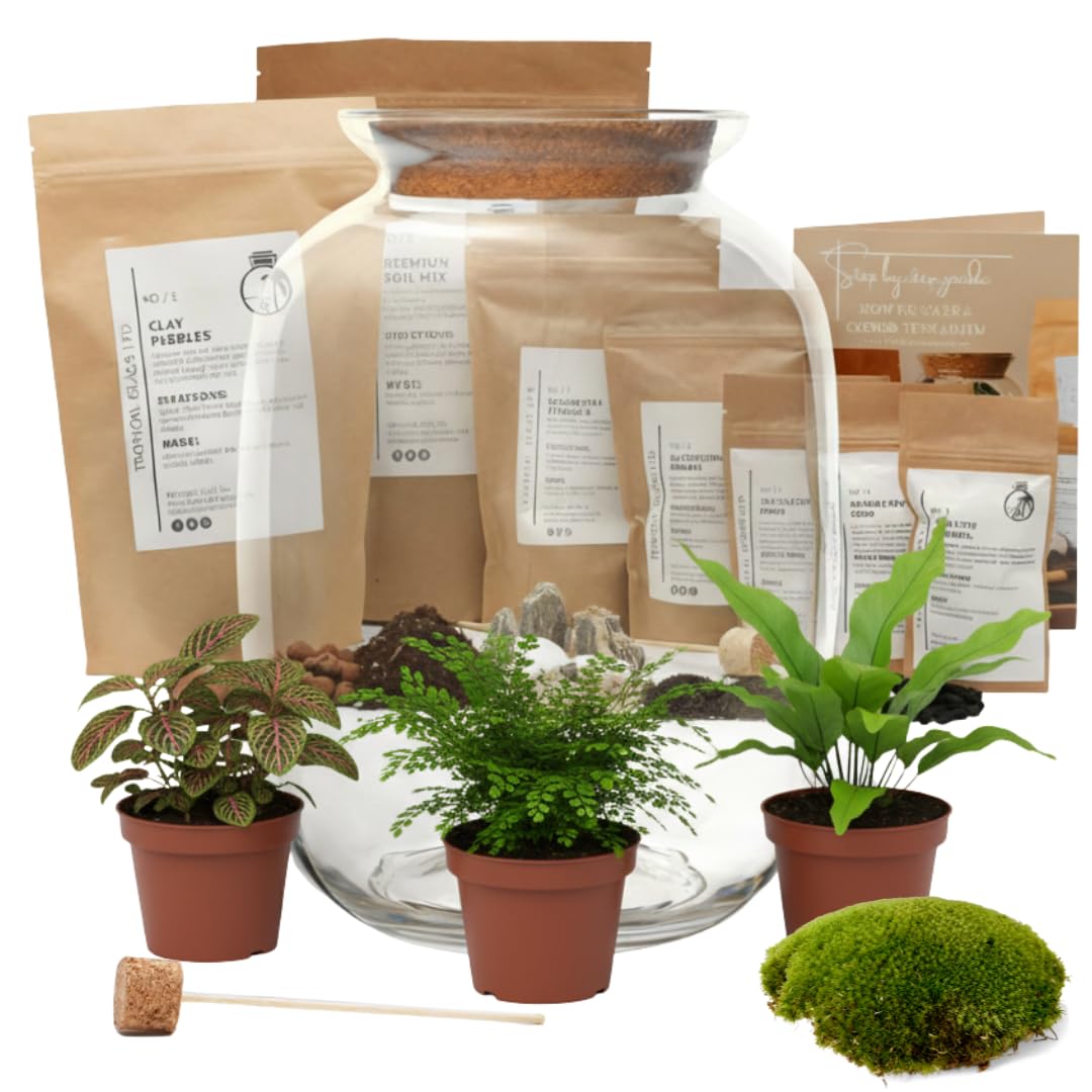 Terrarium Glass Jar with Cork Lid for Plants H: 32 cm, Glass Planter Pot, Closed Terrarium, Office Home Decoration (with Standard Lid, Glass + Starter Kit + Plants)
