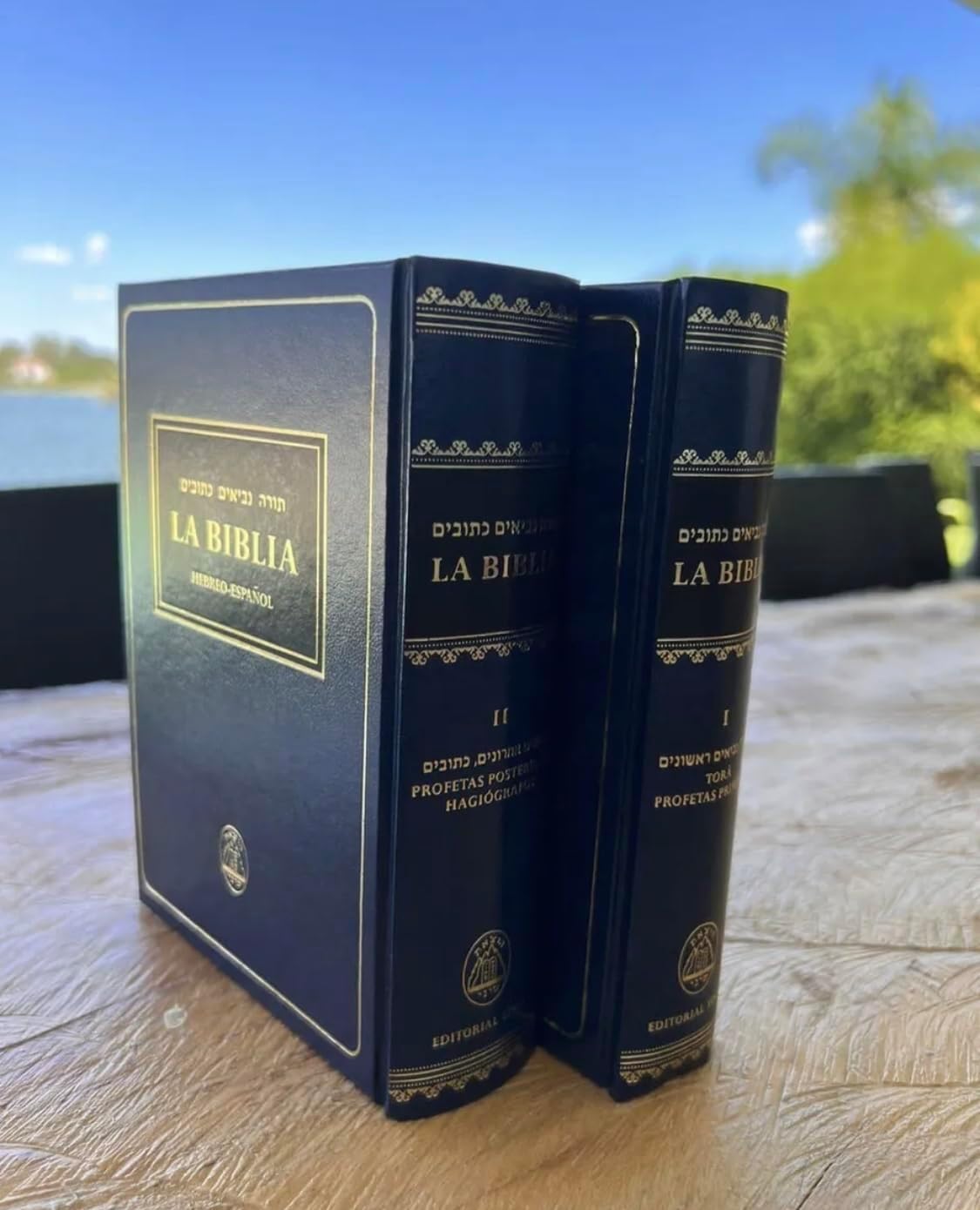 La Biblia Hebreo-Español: versión castellana conforme a la tradición judía Hardcover – January 1, 2006