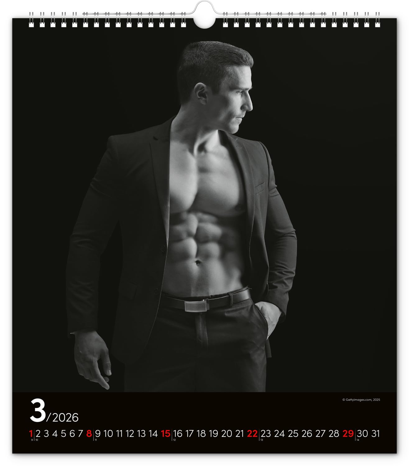 Men 2026, Wandkalender Nackte Männer Erotik Kalender, Sexy Kalender XXX Erotiek Männerkalender 30 x 34 cm