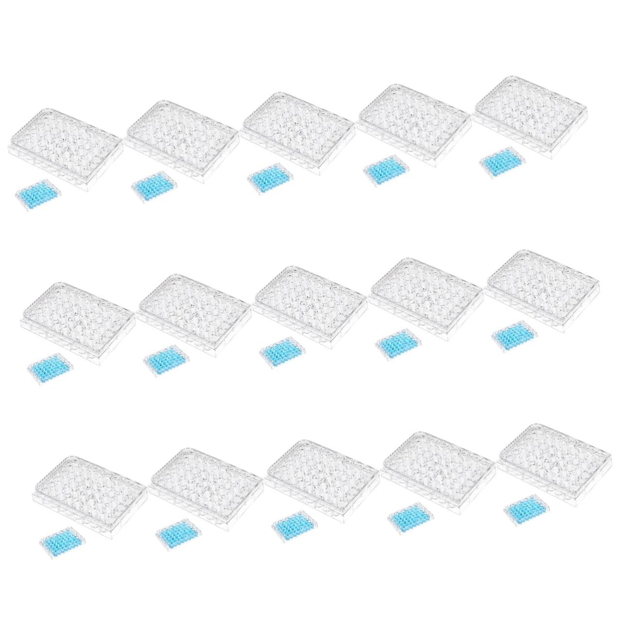 15pezzi Piastra Di Cultura Cellulare Trasparente Da Pozzi Strumento Per Esperimenti Laboratorio Realizzata Vergine Dotata Di Coperchi Per Stabilità e Riduzione Evaporazione