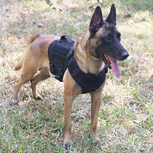ICEFANG Tactical Dog Operation Harness with 6X Buckle,Dog Molle Vest with Handle,3/4 Body Coverage,Hook and Loop Panel… - Image 2