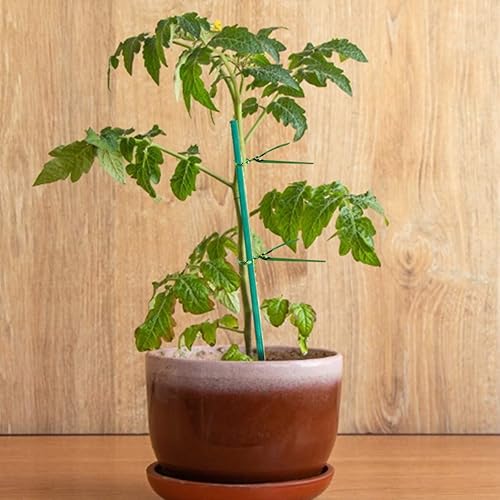 Miniatura 5 de 30 estacas de jardín de bambú verde de 16 pulgadas, palos de soporte de plantas de madera con lazos de jardín y correa de nailon para plantas