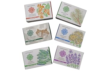 Four Elements 4E Herbal Shampoo Bar, with Nettle, Burdock, Sage and Rosemary are Combined to Rejuvenate and Beautify the Hair, 100% Organic Herbal, 3.8 OZ