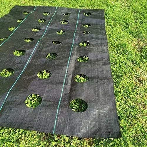 Agfabric Easy-Plant Weed Block For Raised Bed Outdoor Garden Weed Rugs Garden Mat 3.0Oz, 4'X12',With Planting Hole Dia 6" #TOP2