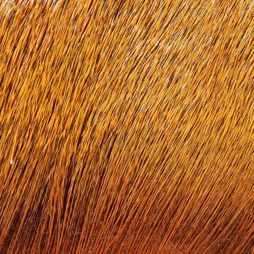 Hareline Deer Body Hair Dyed Over Natural - Rusty Brown