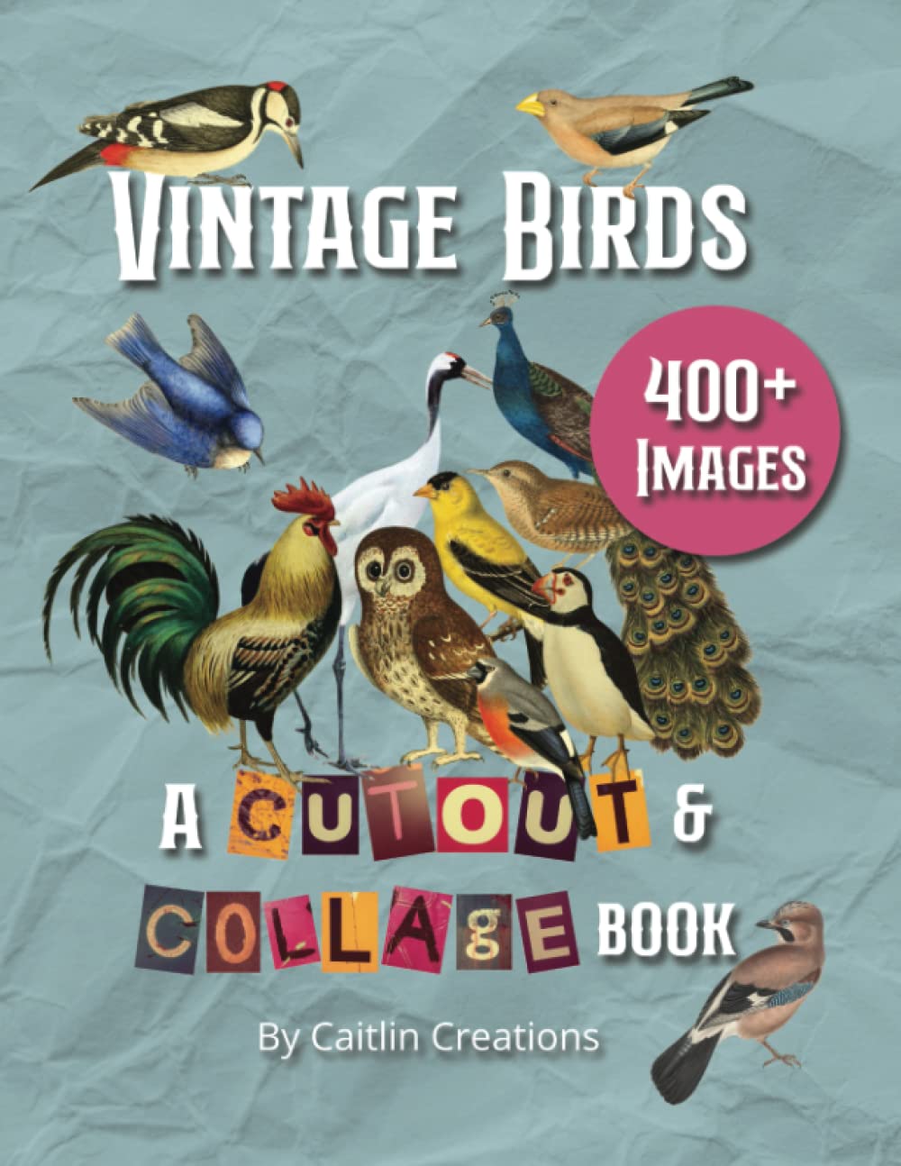 Livre de découpage images d'oiseaux rétro pour l'atelier scrapbooking