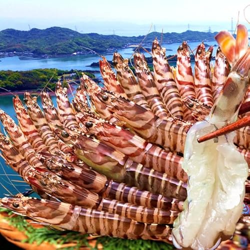 ԊCV y2Lz1kgi24`28j܂ F{VY N}Gr ۘa Ԃ  {B꒼ hg s`s`VN