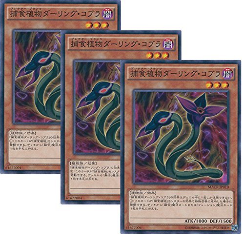 3Zbg VYJ[h MACR-JP010 ߐHA_[OERu m[} VYARC-V [}LV}ENCVX]