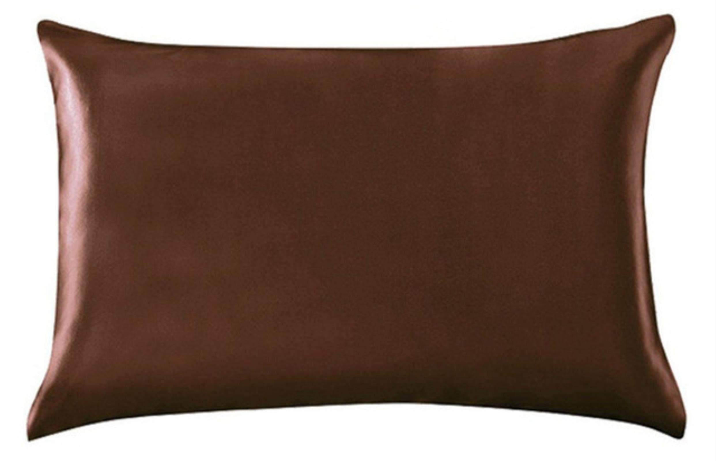 2 PCS Funda de Almohada de Seda de Mulberry con Cremallera Oculta Funda para Almohada para una Reina Reina estándar