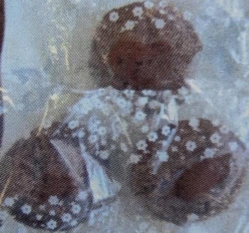 Ⓚ ͂ Ԃ  6PiP70g×10j aَq XC[c  Ⓚۑ  𓀂ł̂܂