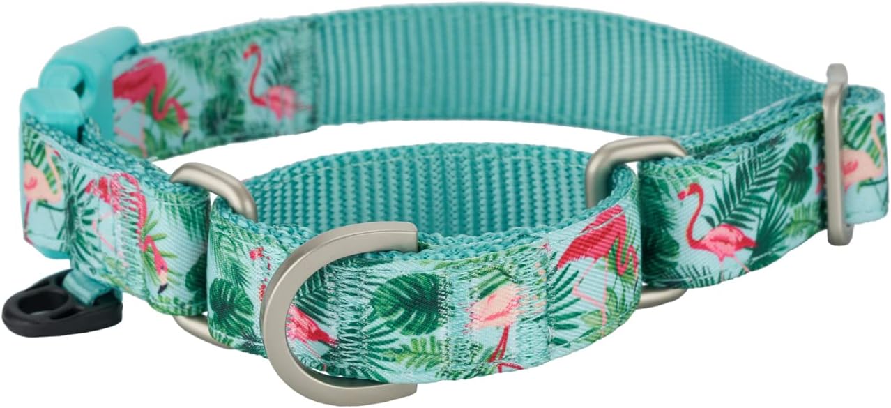 Ewinoom Martingale Collar for Dogs with Quick Release Snap