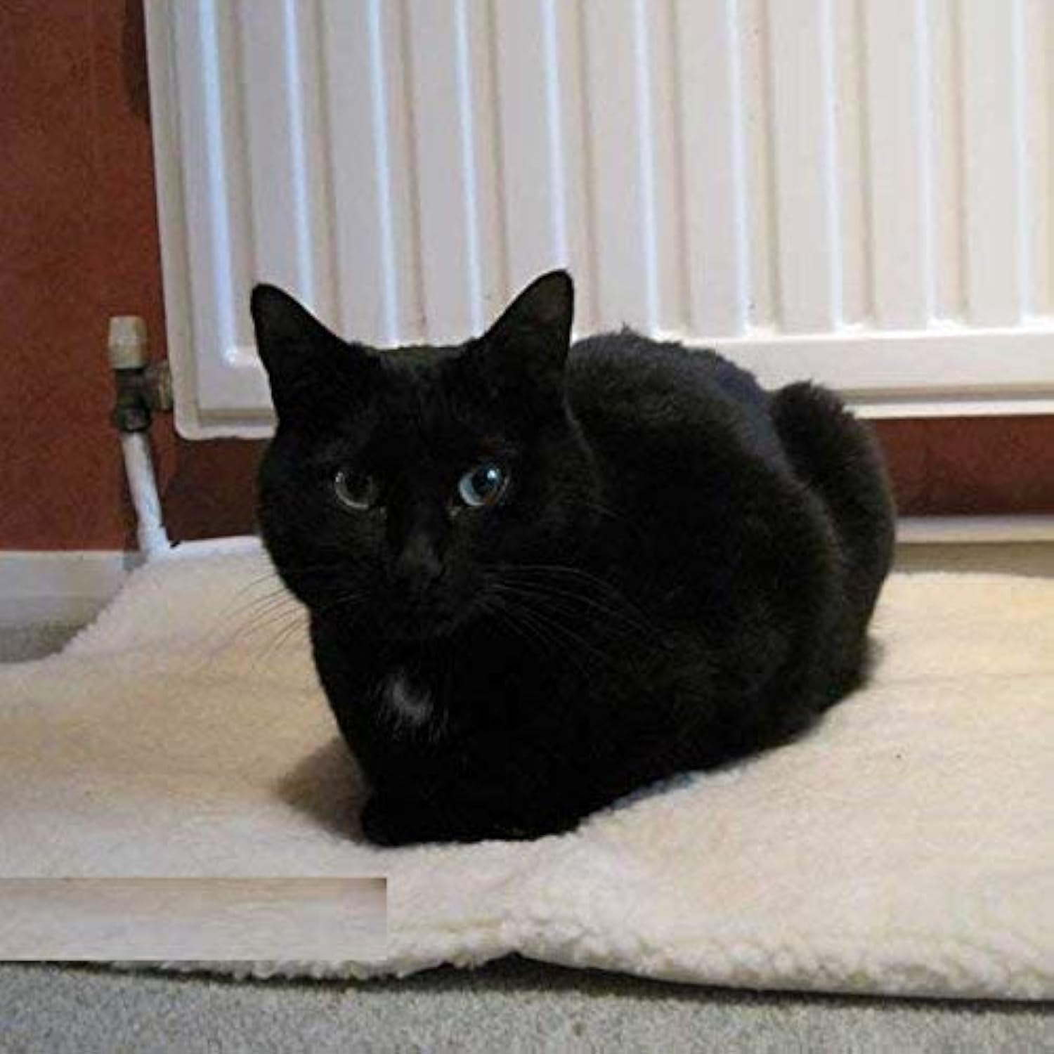 Xlook White Self Heating Pet Blanket Pad Ideal For Cat/Dog Bed 64X49 Cm