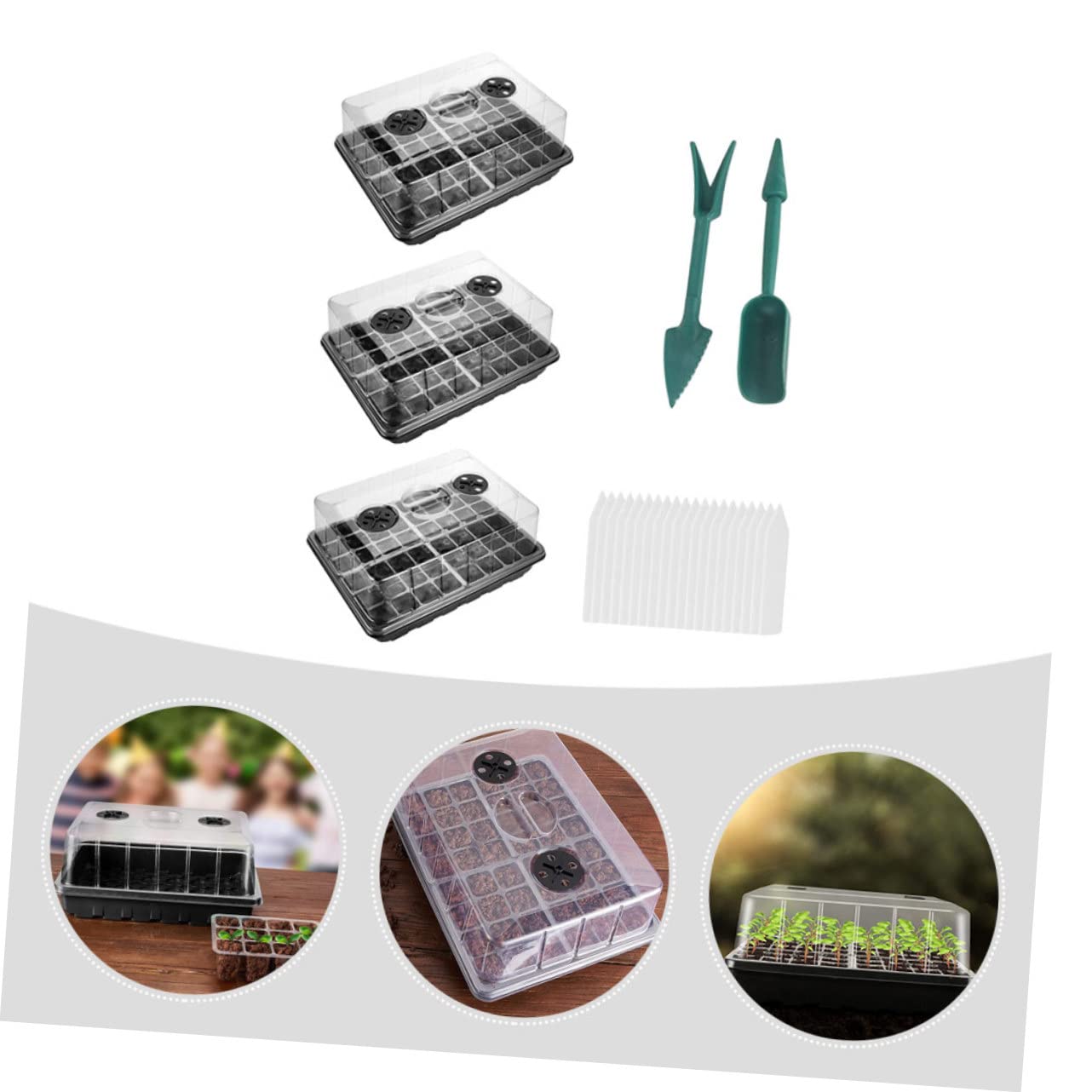 Plateau de Germination pour Plantes, Lot de 1 Set de Set, Pp, Trous