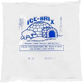 Ice-Brix Leakproof Cold Packs, 6" x 5-3/4" x 1", Reusable and Food Safe (Case of 24)