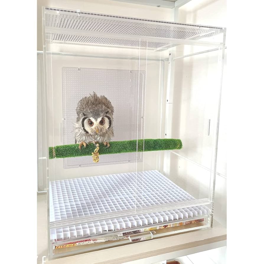 フクロウ用ゲージ Amazon | ThanksPure フクロウ専用ケージ 高550×幅450×奥行350