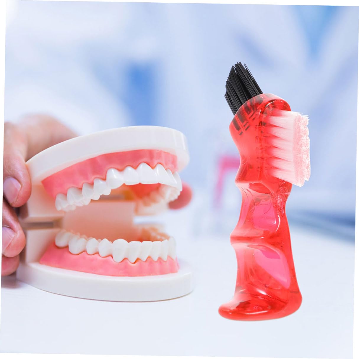 HANABASS Spazzola per Pulizia Dentiera Mini Doppia Testa Multifunzionale 3pezzi in Plastico Pp Creativa per Orale Domestica