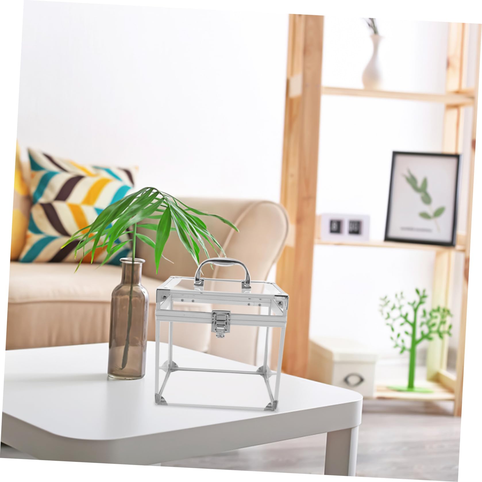 Alasum Scatola Porta Album in Acrilico Trasparente per Vinili e CD Organizer Compatto per Desktop Contenitore Portatile per Dischi con Ampio Spazio e Design Elegante