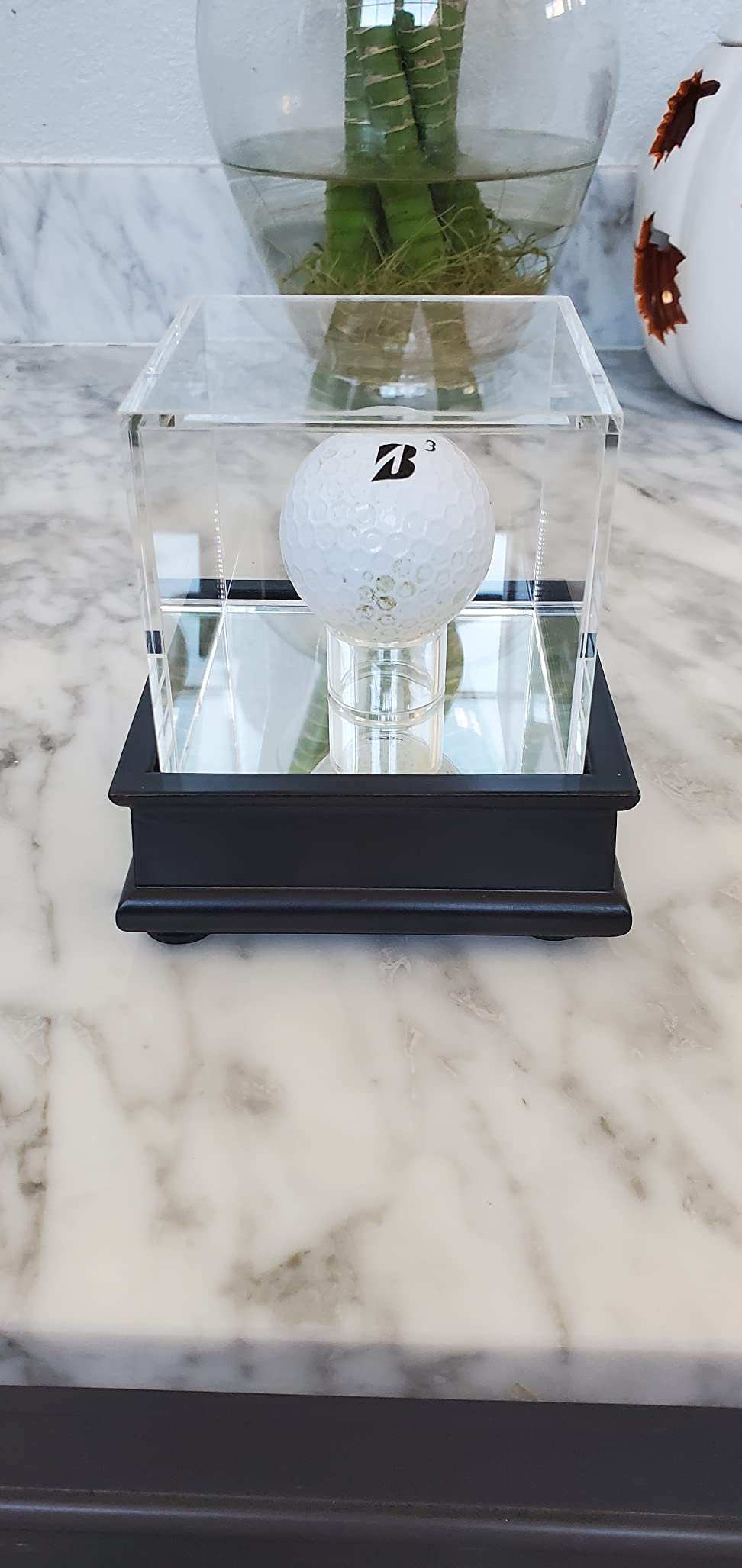 Amazon.co.jp: ディスプレイスタンドケース トリックまたはノベルティ