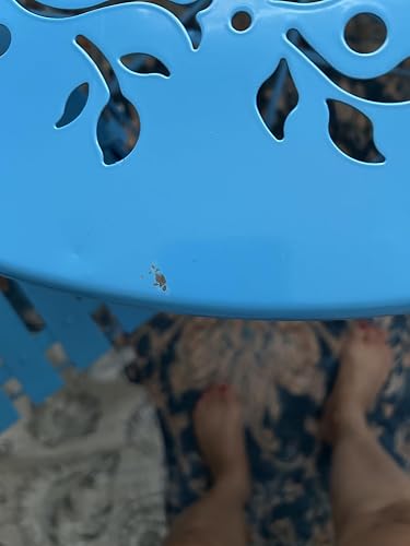 Review Image by MDV