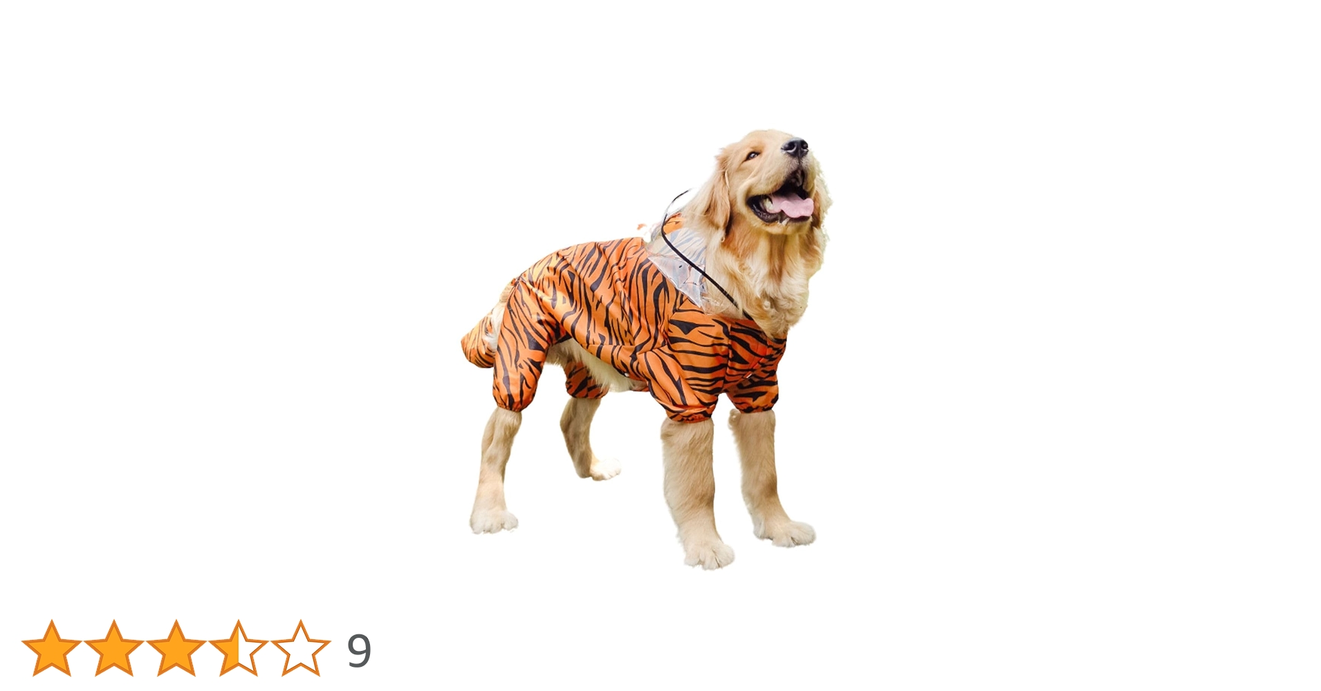 いし犬 61a54CAfyqL.jpg_BO30,255,255,