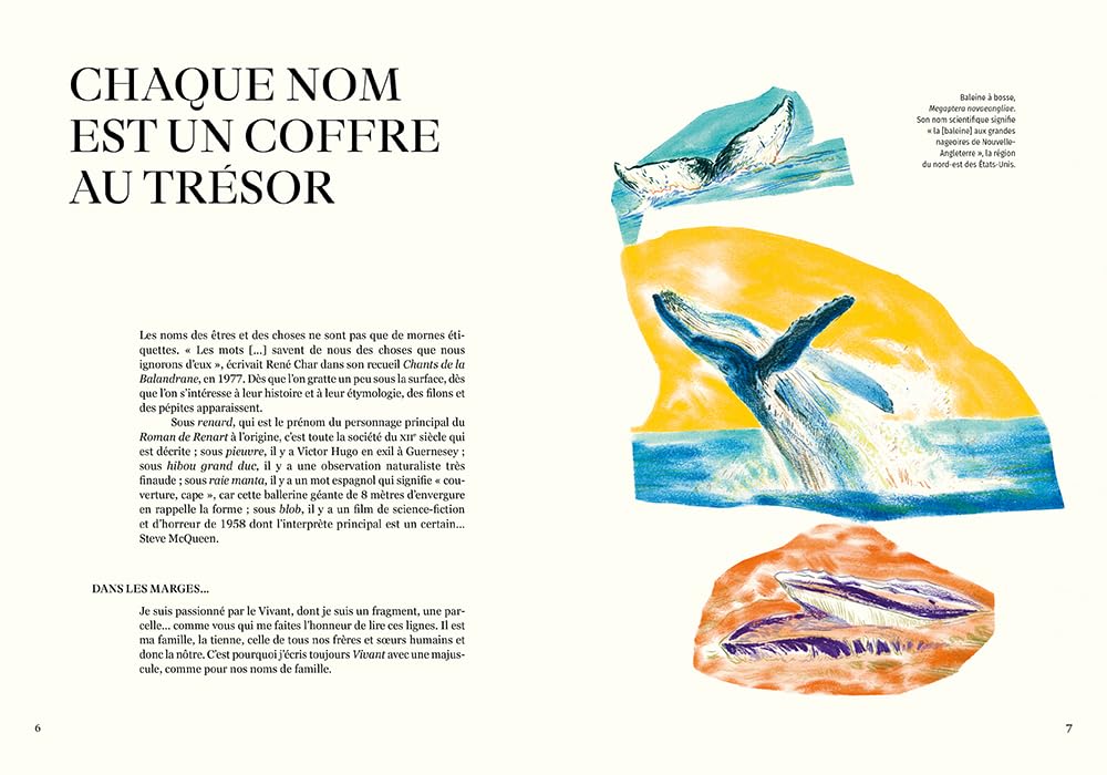 Nomen - L'origine des noms des espèces: Une odyssée dans l'histoire, la géographie, les cultures, les langues...