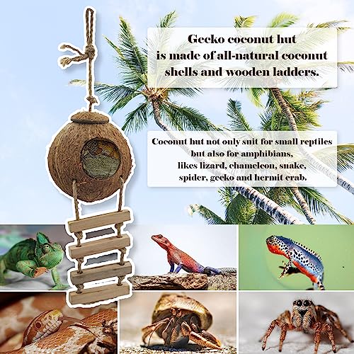 Image of 6PCS Crested Gecko Coconut Hut, Lizard Coco Den with Ladder and Reptile Hammock Bearded Dragon Tank Accessories Climbing Hanging Plants Jungle Vine Flexible Reptile Leaves Decor