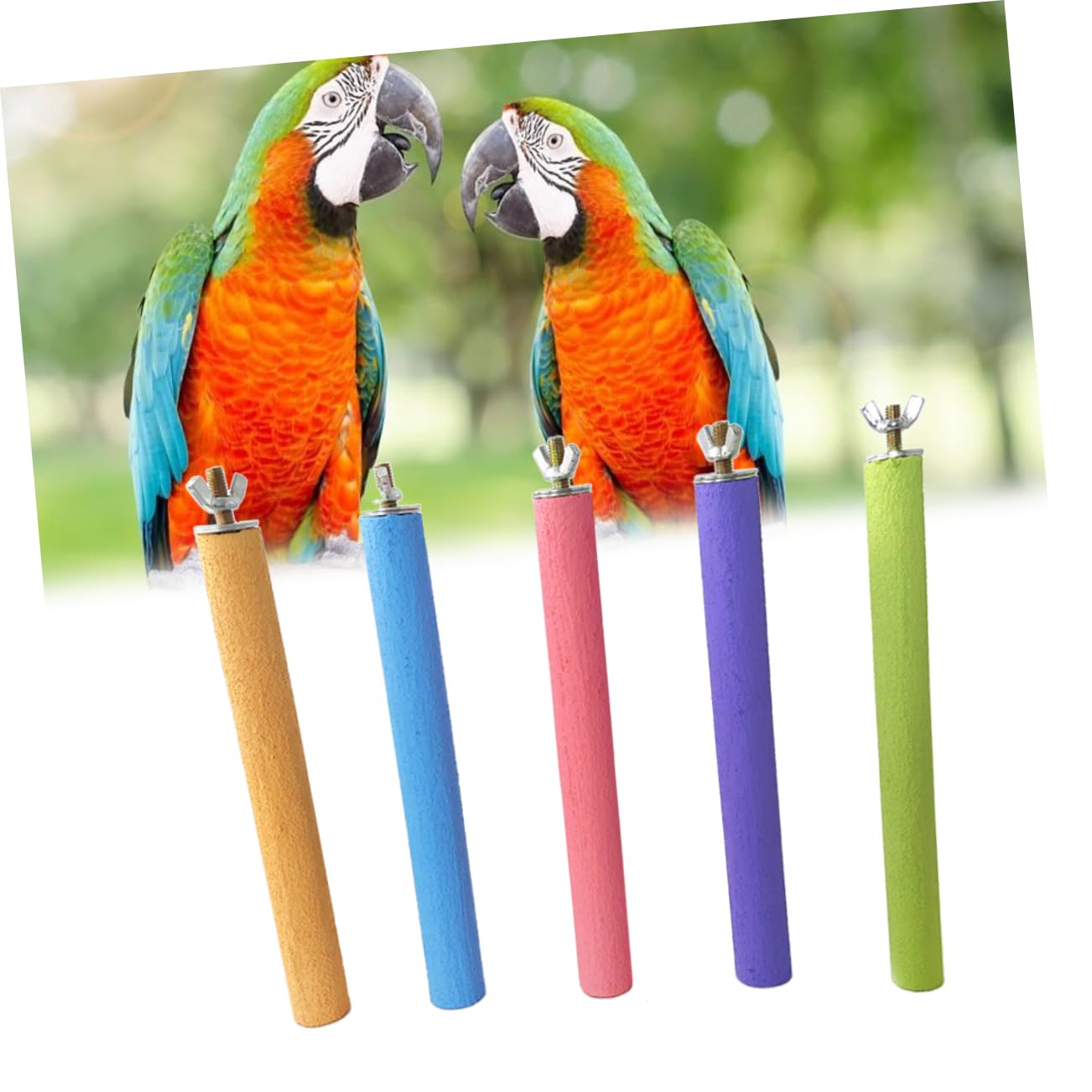 BESPORTBLE 10 Pezzi supporto per pesce persico pets giocattoli pietra affilacoltelli pappagallo bacchette per macinare artigli di uccelli supporto per giochi per pappagalli glassato Pertica
