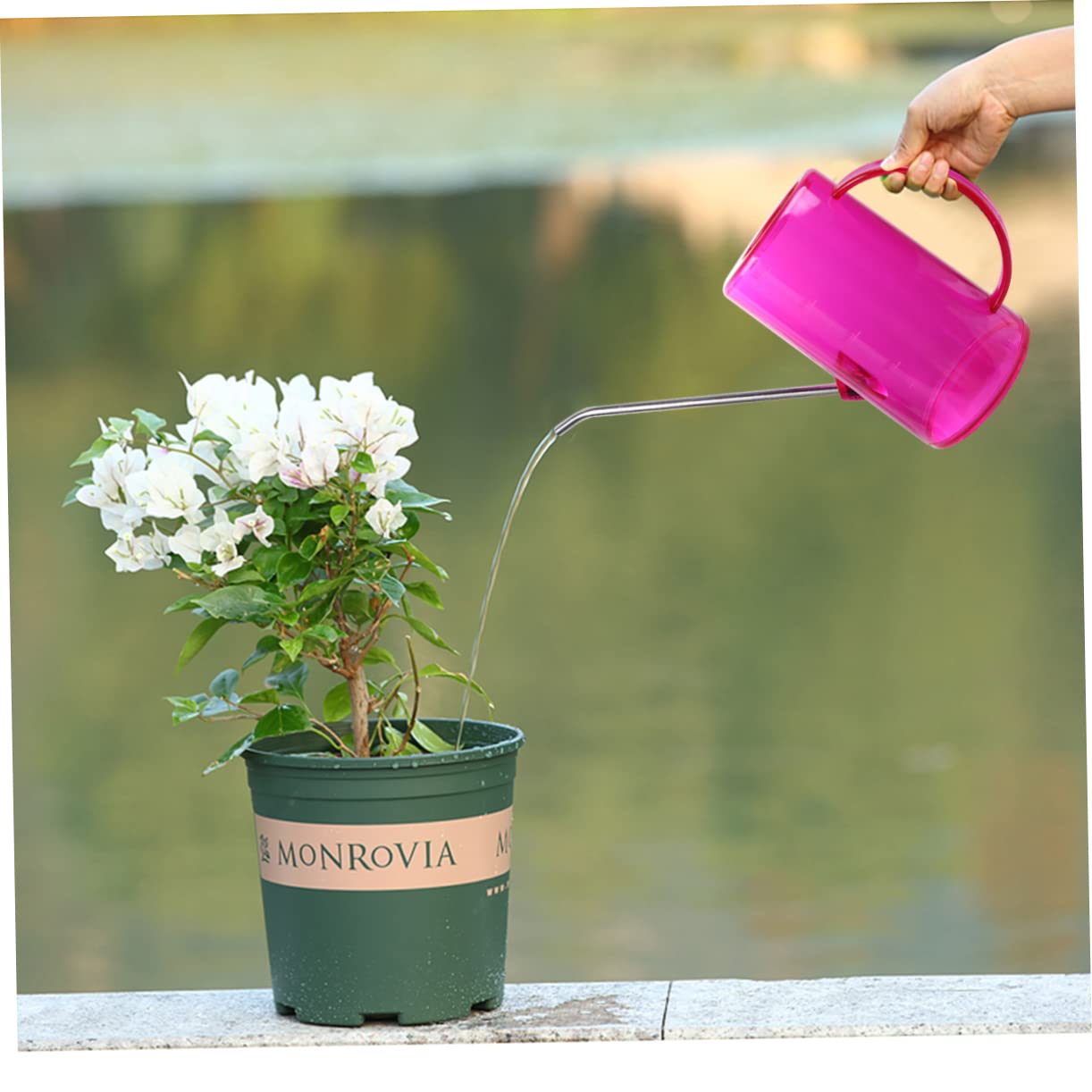 BESPORTBLE 2pezzi Annaffiatoio Ergonomico Con Beccuccio Lungo Contenitore Da Giardino Con Capacità Elevata Per Casa Ufficio e Scuole Design Pratico e Facile Ricarica Per Giardinaggio e