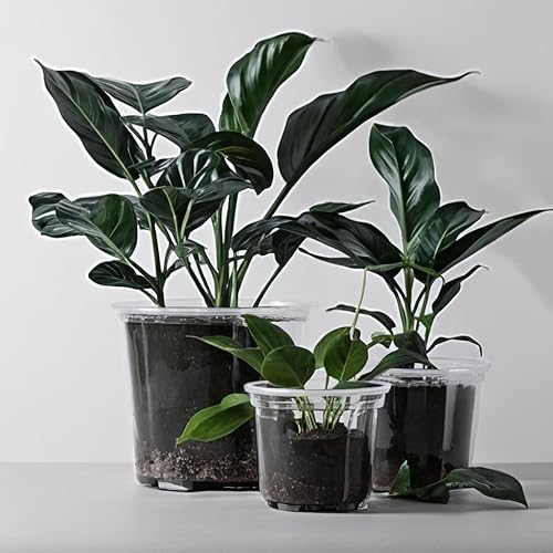 Miniatura 6 de RAOOKIF Macetas transparentes de vivero de 653.5 pulgadas con drenaje, paquete de 24 macetas transparentes de vivero para plantas, maceta de jardín