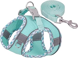 Factorys Hundegeschirr für kleine, mittelgroße und große Hunde, kein Ziehen, Welpengeschirr und Leine-Set, Verstellbar, Mint Green, Turquoise, XXS, Fischgrätmuster product image