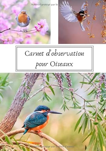 livre Carnet d'observation pour oiseaux: Journal de bord pour comptage et observation des oiseaux | Idéal cadeaux de passionné | Énumérer les espèces et les répertorier | Amoureux de la nature |