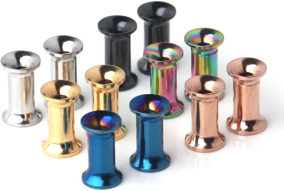 Ruifan 6 Pairs Stainless Steel Screw Ear Gauges Flesh Tunnels Plugs Expander Stretcher 6 Colors Same Size 6G-00G